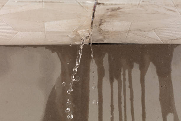 Professional Sewage Cleanup technician working in Goldsmith, TX
